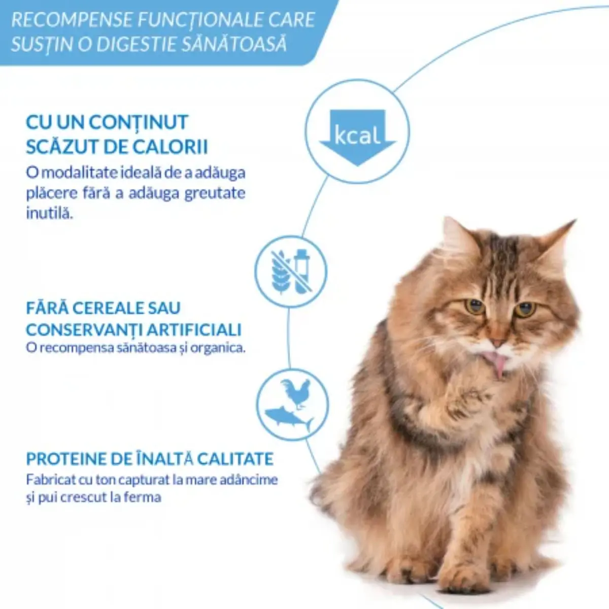 INABA Churu Hairball Control, Somon, punguta recompense fara cereale pisici, limitarea ghemurilor de blana, (piure), 56g - Image 8