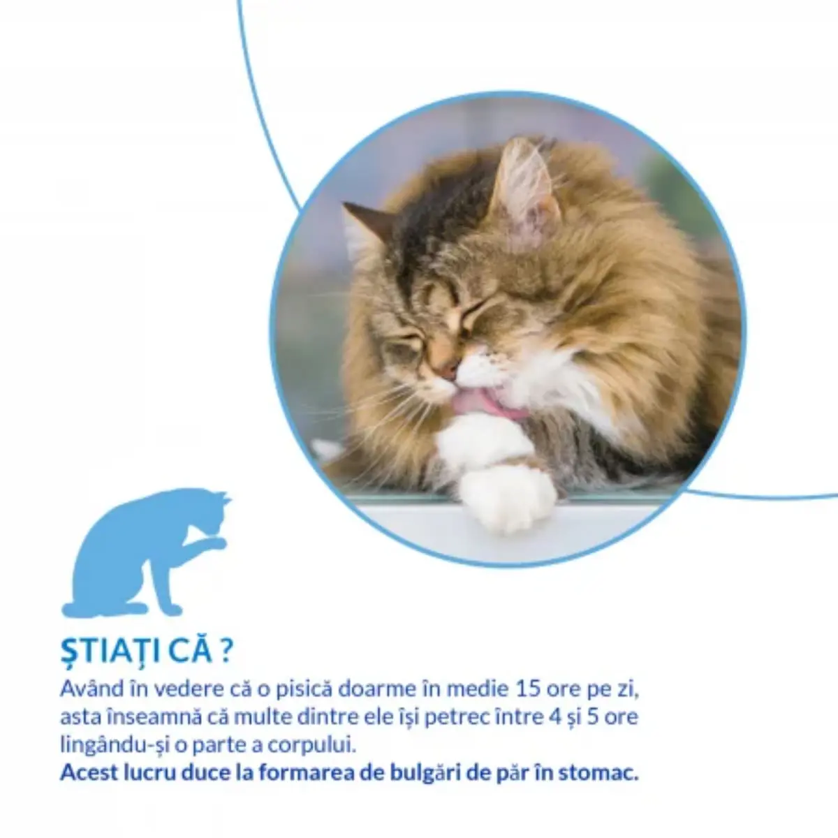 INABA Churu Hairball Control, Somon, punguta recompense fara cereale pisici, limitarea ghemurilor de blana, (piure), 56g - Image 9