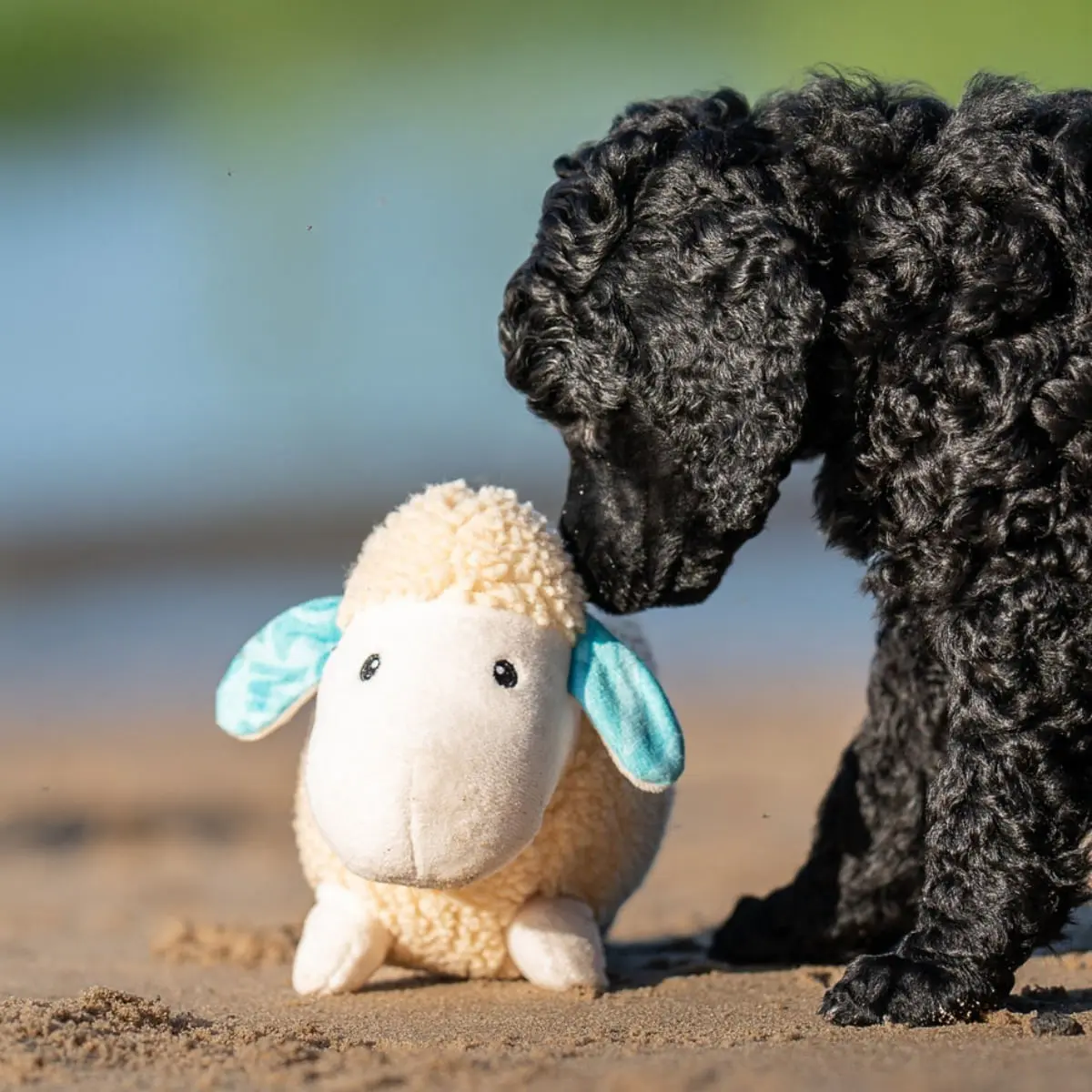 MAX & MOLLY Huggles Oaia Barbara, jucarie de aport caini, activitati fizice, poliester, alb, 27x17cm, 1buc - Image 8