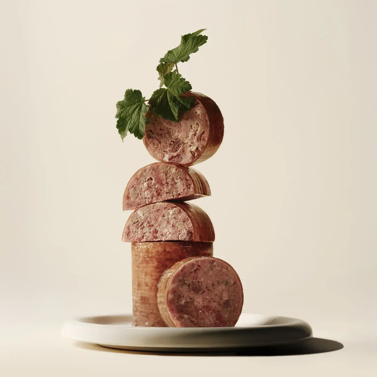 CARNILOVE, XS-XL, Curcan si Ren, conserva hrana umeda fara cereale caini, (pate), bax, 400g x 6buc - Image 5