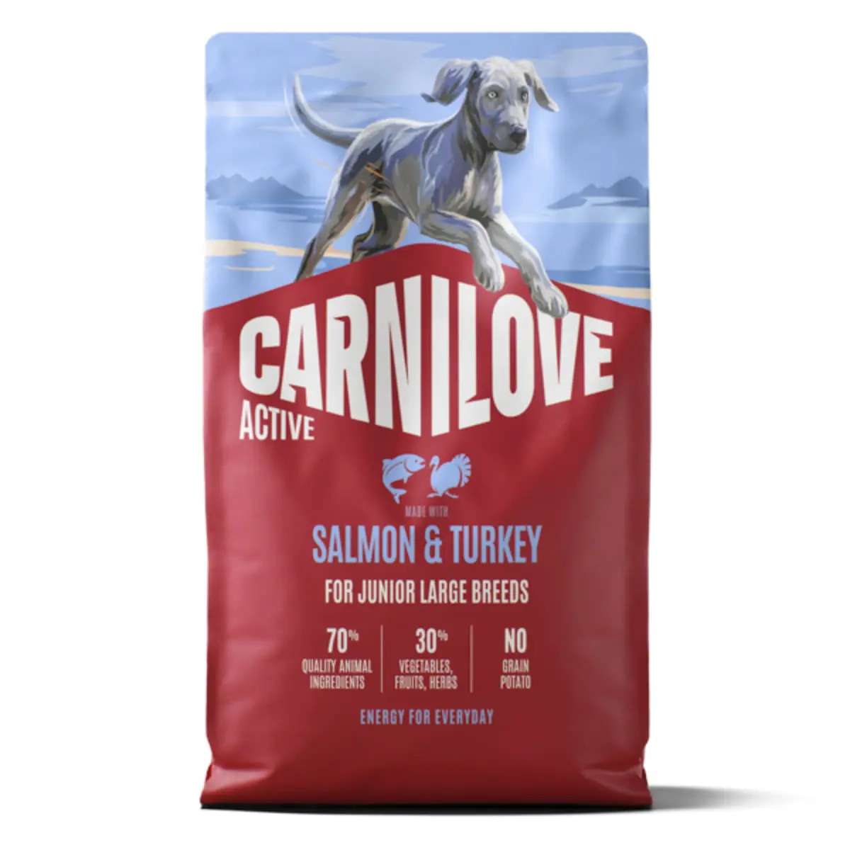 CARNILOVE Active Junior Large Breeds, L-XL, Somon si Curcan, hrana uscata fara cereale caini junior, 4kg