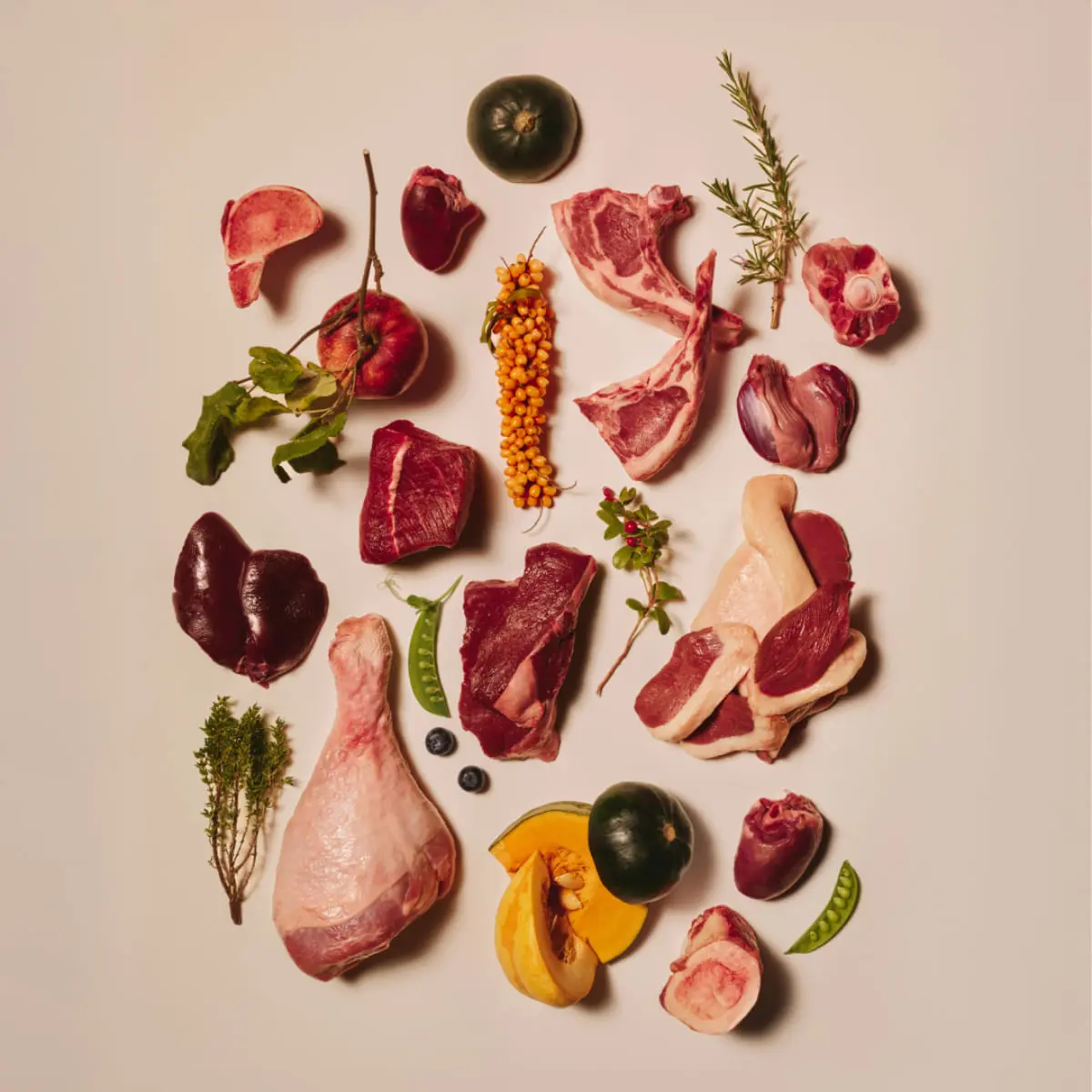 CARNILOVE, Fazan si Zmeura, plic hrana umeda fara cereale pisici, (in aspic), bax, 85g x 24buc - Image 7