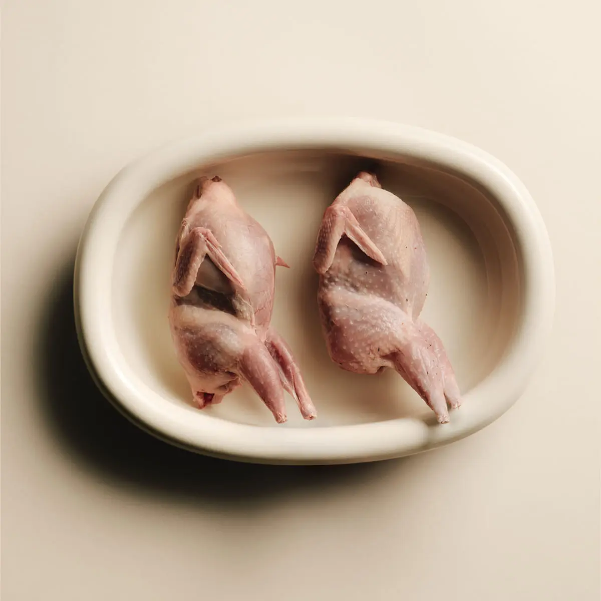 CARNILOVE, Prepelita, plic hrana umeda fara cereale pisici, (in aspic), bax, 85g x 24buc - Image 8