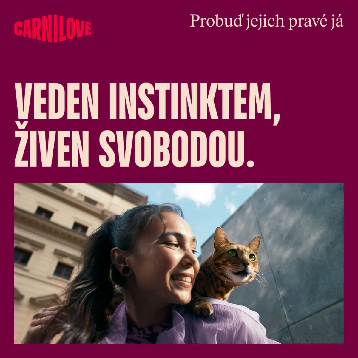 CARNILOVE Freeze Dried, Curcan si Catnip, punguta recompense monoproteice fara cereale pisici, deshidratat, 40g - Image 10