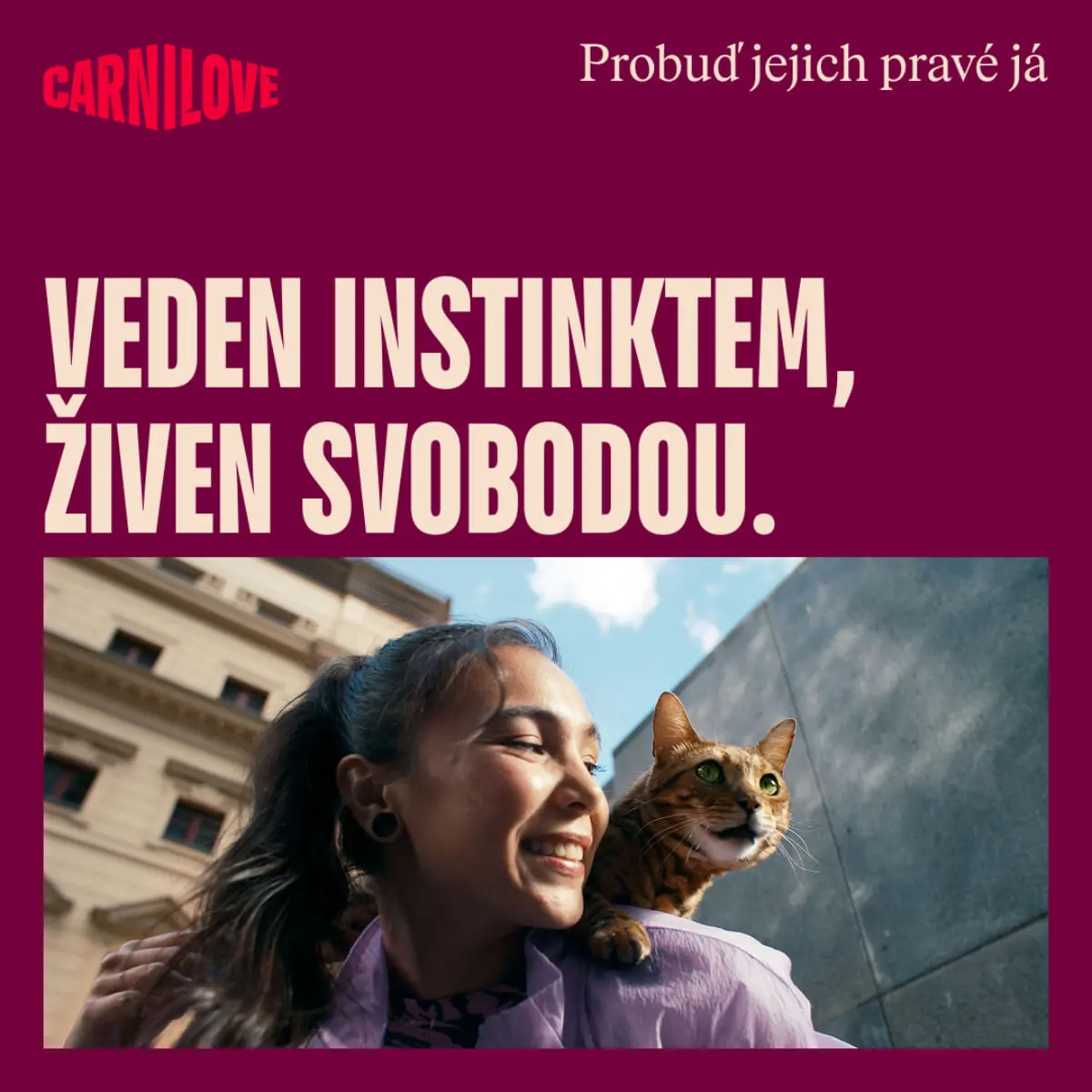 CARNILOVE True Fresh Large Breed, Vita, hrana uscata fara cereale pisici, 400g - Image 10